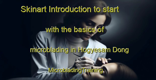 Skinart Introduction to start with the basics of microblading in Hogyesam Dong | MicrobladingTraining | MicrobladingClasses | SkinartTraining-Korea