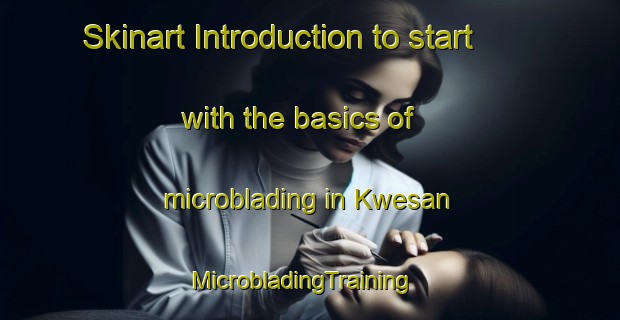 Skinart Introduction to start with the basics of microblading in Kwesan | MicrobladingTraining | MicrobladingClasses | SkinartTraining-Korea