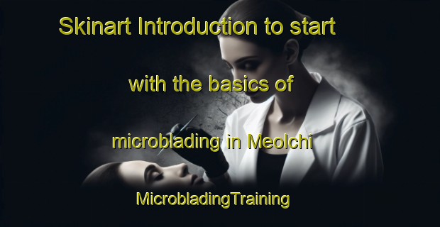 Skinart Introduction to start with the basics of microblading in Meolchi | MicrobladingTraining | MicrobladingClasses | SkinartTraining-Korea