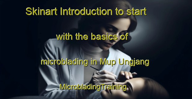 Skinart Introduction to start with the basics of microblading in Mup Ungjang | MicrobladingTraining | MicrobladingClasses | SkinartTraining-Korea