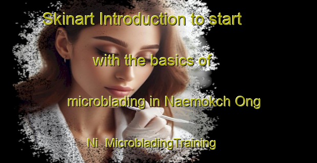 Skinart Introduction to start with the basics of microblading in Naemokch Ong Ni | MicrobladingTraining | MicrobladingClasses | SkinartTraining-Korea