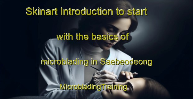 Skinart Introduction to start with the basics of microblading in Saebeodeong | MicrobladingTraining | MicrobladingClasses | SkinartTraining-Korea