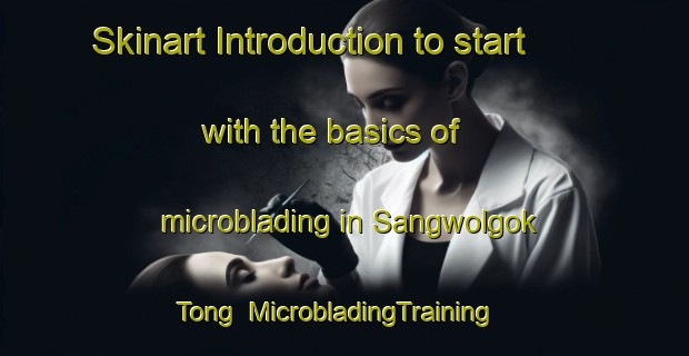 Skinart Introduction to start with the basics of microblading in Sangwolgok Tong | MicrobladingTraining | MicrobladingClasses | SkinartTraining-Korea