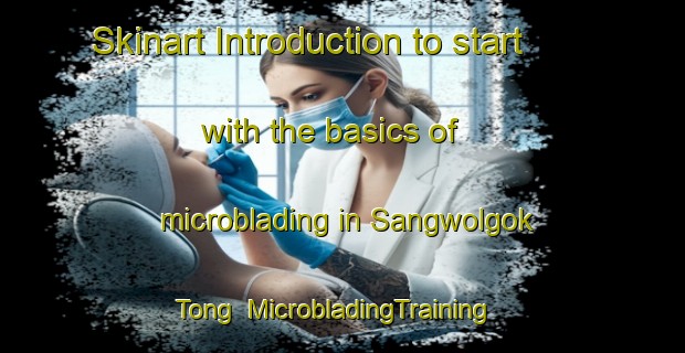 Skinart Introduction to start with the basics of microblading in Sangwolgok Tong | MicrobladingTraining | MicrobladingClasses | SkinartTraining-Korea