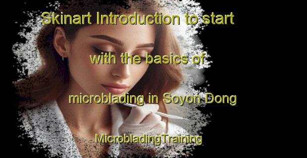Skinart Introduction to start with the basics of microblading in Soyon Dong | MicrobladingTraining | MicrobladingClasses | SkinartTraining-Korea