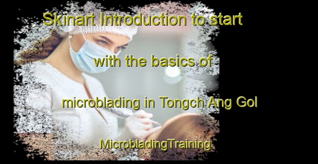 Skinart Introduction to start with the basics of microblading in Tongch Ang Gol | MicrobladingTraining | MicrobladingClasses | SkinartTraining-Korea