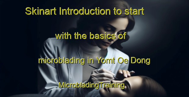 Skinart Introduction to start with the basics of microblading in Yomt Oe Dong | MicrobladingTraining | MicrobladingClasses | SkinartTraining-Korea