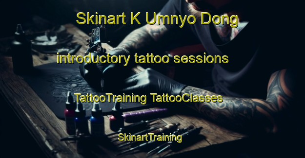 Skinart K Umnyo Dong introductory tattoo sessions | #TattooTraining #TattooClasses #SkinartTraining-Korea