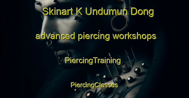 Skinart K Undumun Dong advanced piercing workshops | #PiercingTraining #PiercingClasses #SkinartTraining-Korea