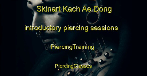 Skinart Kach Ae Dong introductory piercing sessions | #PiercingTraining #PiercingClasses #SkinartTraining-Korea