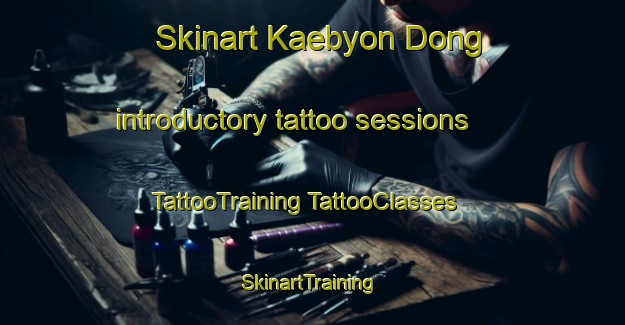 Skinart Kaebyon Dong introductory tattoo sessions | #TattooTraining #TattooClasses #SkinartTraining-Korea