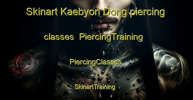 Skinart Kaebyon Dong piercing classes | #PiercingTraining #PiercingClasses #SkinartTraining-Korea