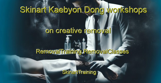 Skinart Kaebyon Dong workshops on creative removal | #RemovalTraining #RemovalClasses #SkinartTraining-Korea