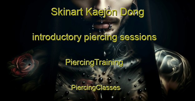 Skinart Kaejon Dong introductory piercing sessions | PiercingTraining | PiercingClasses | SkinartTraining-Korea