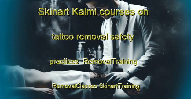 Skinart Kalmi courses on tattoo removal safety practices | #RemovalTraining #RemovalClasses #SkinartTraining-Korea