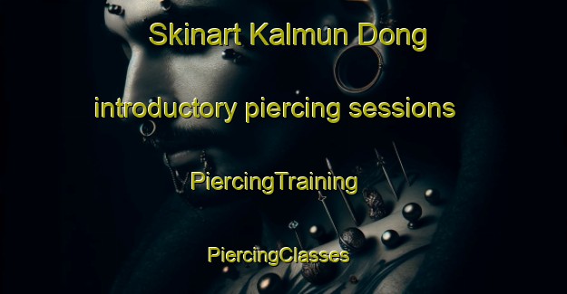 Skinart Kalmun Dong introductory piercing sessions | PiercingTraining | PiercingClasses | SkinartTraining-Korea