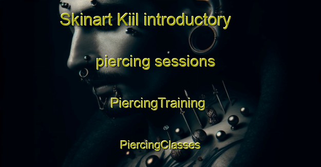 Skinart Kiil introductory piercing sessions | #PiercingTraining #PiercingClasses #SkinartTraining-Korea