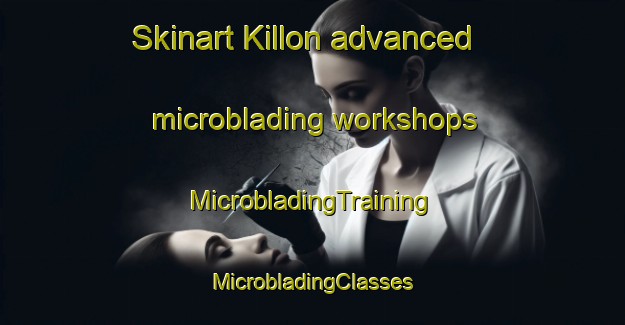 Skinart Killon advanced microblading workshops | #MicrobladingTraining #MicrobladingClasses #SkinartTraining-Korea