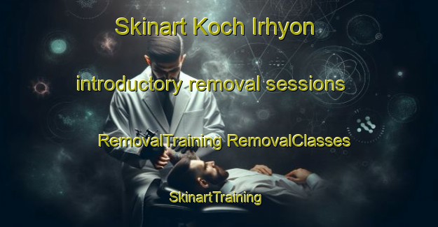 Skinart Koch Irhyon introductory removal sessions | #RemovalTraining #RemovalClasses #SkinartTraining-Korea