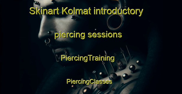 Skinart Kolmat introductory piercing sessions | PiercingTraining | PiercingClasses | SkinartTraining-Korea