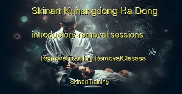 Skinart Kuhangdong Ha Dong introductory removal sessions | #RemovalTraining #RemovalClasses #SkinartTraining-Korea