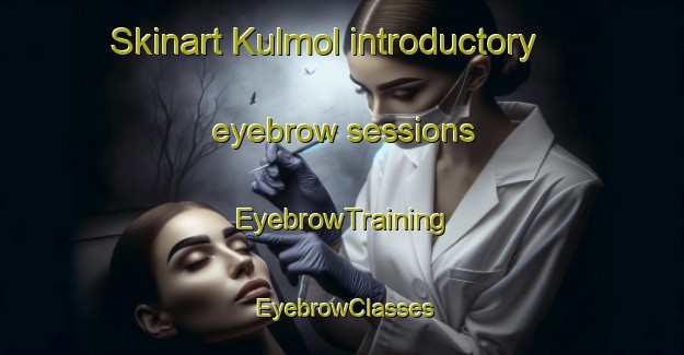 Skinart Kulmol introductory eyebrow sessions | EyebrowTraining | EyebrowClasses | SkinartTraining-Korea