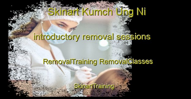 Skinart Kumch Ung Ni introductory removal sessions | #RemovalTraining #RemovalClasses #SkinartTraining-Korea