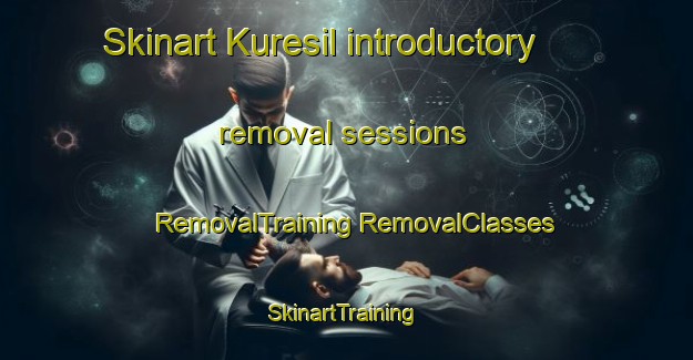 Skinart Kuresil introductory removal sessions | #RemovalTraining #RemovalClasses #SkinartTraining-Korea