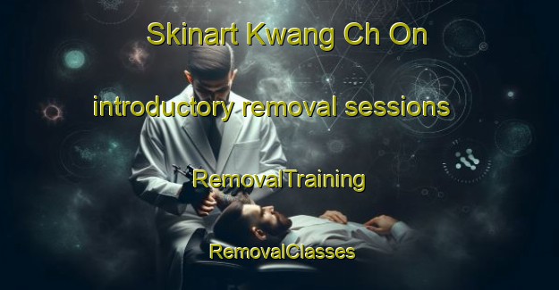 Skinart Kwang Ch On introductory removal sessions | RemovalTraining | RemovalClasses | SkinartTraining-Korea