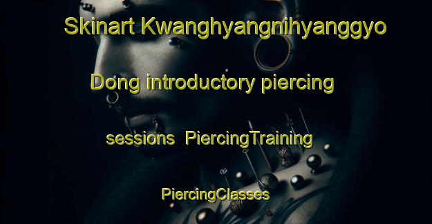 Skinart Kwanghyangnihyanggyo Dong introductory piercing sessions | #PiercingTraining #PiercingClasses #SkinartTraining-Korea