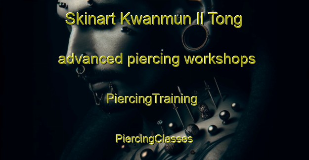 Skinart Kwanmun Il Tong advanced piercing workshops | #PiercingTraining #PiercingClasses #SkinartTraining-Korea