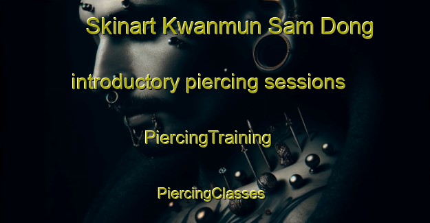 Skinart Kwanmun Sam Dong introductory piercing sessions | PiercingTraining | PiercingClasses | SkinartTraining-Korea