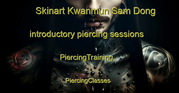 Skinart Kwanmun Sam Dong introductory piercing sessions | PiercingTraining | PiercingClasses | SkinartTraining-Korea