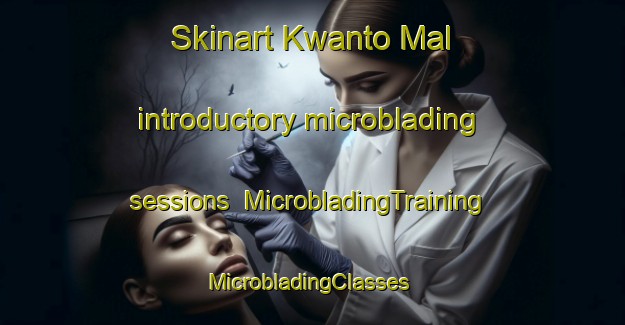 Skinart Kwanto Mal introductory microblading sessions | MicrobladingTraining | MicrobladingClasses | SkinartTraining-Korea