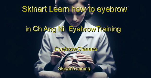 Skinart Learn how to eyebrow in Ch Ang Ni | EyebrowTraining | EyebrowClasses | SkinartTraining-Korea
