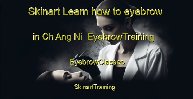 Skinart Learn how to eyebrow in Ch Ang Ni | EyebrowTraining | EyebrowClasses | SkinartTraining-Korea