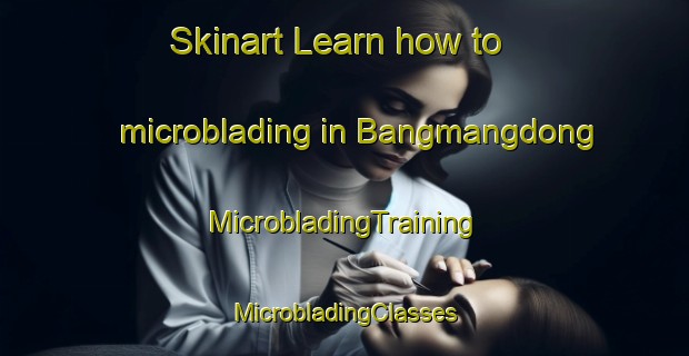 Skinart Learn how to microblading in Bangmangdong | #MicrobladingTraining #MicrobladingClasses #SkinartTraining-Korea