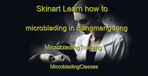 Skinart Learn how to microblading in Bangmangdong | #MicrobladingTraining #MicrobladingClasses #SkinartTraining-Korea