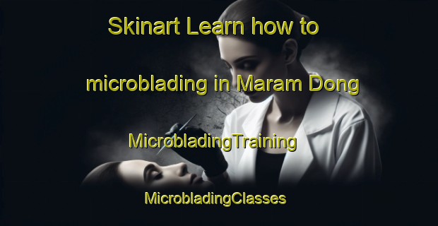 Skinart Learn how to microblading in Maram Dong | MicrobladingTraining | MicrobladingClasses | SkinartTraining-Korea