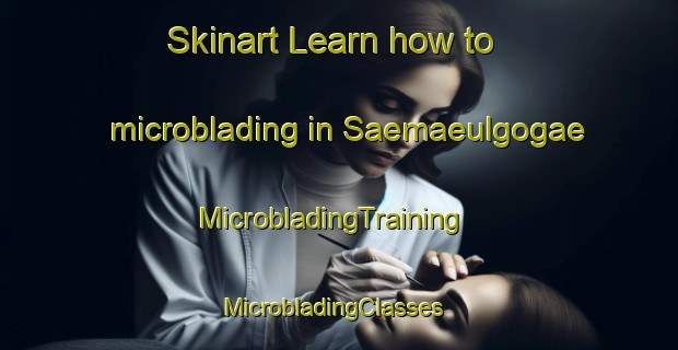 Skinart Learn how to microblading in Saemaeulgogae | MicrobladingTraining | MicrobladingClasses | SkinartTraining-Korea