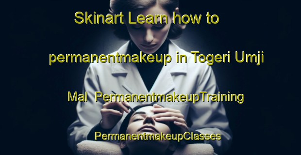 Skinart Learn how to permanentmakeup in Togeri Umji Mal | #PermanentmakeupTraining #PermanentmakeupClasses #SkinartTraining-Korea