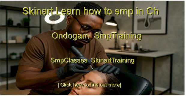 Skinart Learn how to smp in Ch Ondogam | SmpTraining | SmpClasses | SkinartTraining-Korea