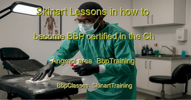 Skinart Lessons in how to become BBP certified in the Ch Angmol area | BbpTraining | BbpClasses | SkinartTraining-Korea