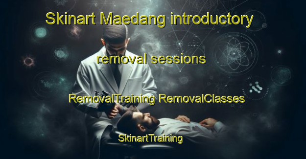 Skinart Maedang introductory removal sessions | #RemovalTraining #RemovalClasses #SkinartTraining-Korea