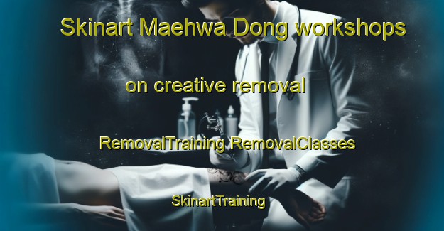 Skinart Maehwa Dong workshops on creative removal | #RemovalTraining #RemovalClasses #SkinartTraining-Korea