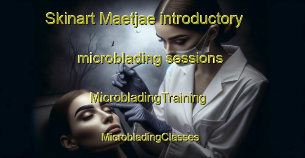 Skinart Maetjae introductory microblading sessions | MicrobladingTraining | MicrobladingClasses | SkinartTraining-Korea