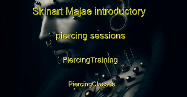 Skinart Majae introductory piercing sessions | PiercingTraining | PiercingClasses | SkinartTraining-Korea