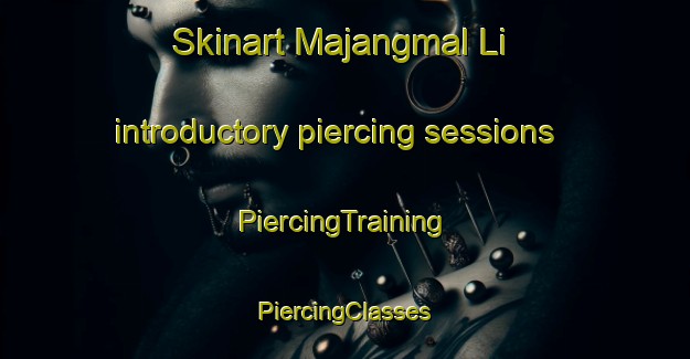 Skinart Majangmal Li introductory piercing sessions | #PiercingTraining #PiercingClasses #SkinartTraining-Korea