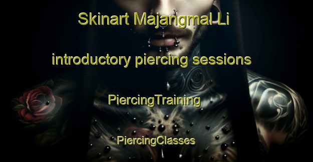 Skinart Majangmal Li introductory piercing sessions | #PiercingTraining #PiercingClasses #SkinartTraining-Korea