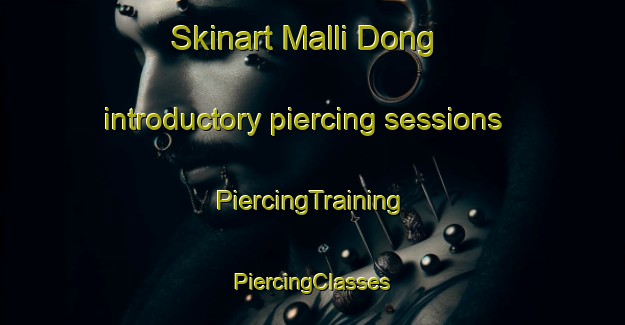 Skinart Malli Dong introductory piercing sessions | #PiercingTraining #PiercingClasses #SkinartTraining-Korea